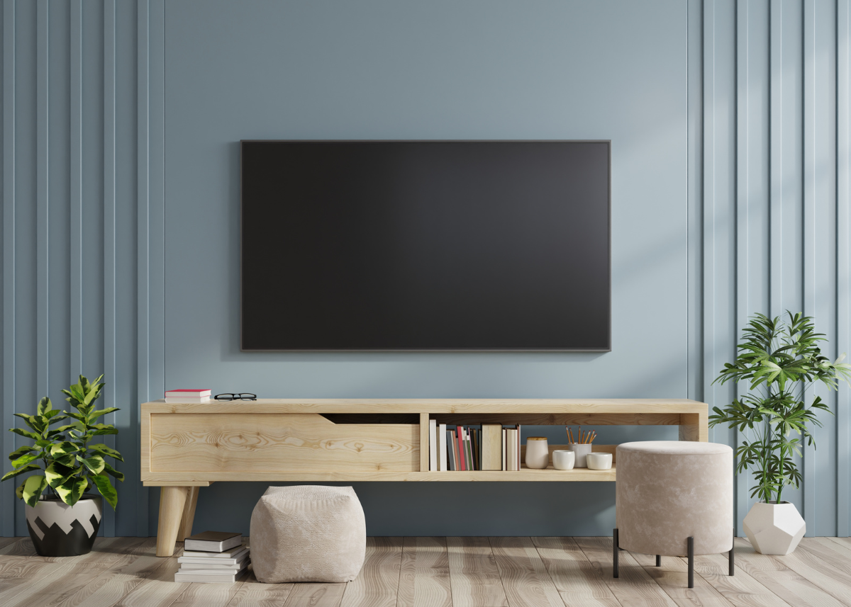 Utiliser des enceintes Hi-Fi avec sa TV