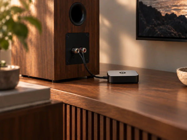 Harmony Link posé sur un meuble en bois, à côté d'une enceinte
