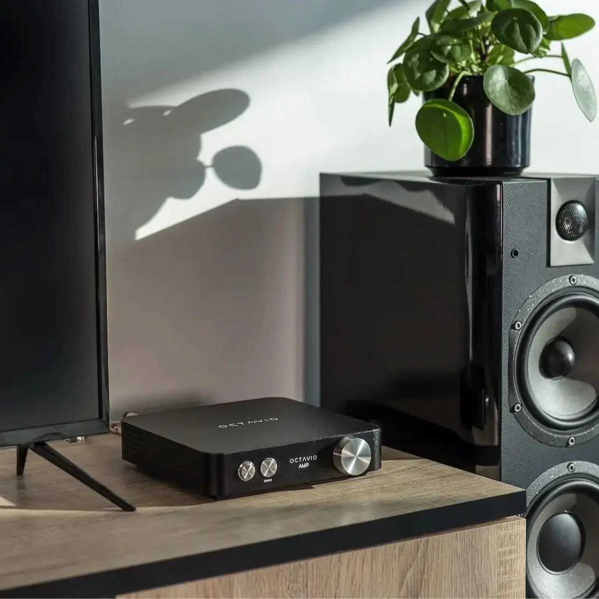 Octavio amplificateur TV